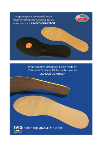 THE PROPRIOCEPTIVE ORTHOPEDIC INSOLE