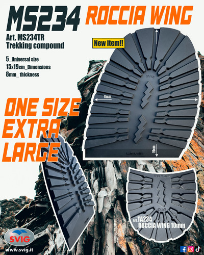 MS234 ADV definitivo