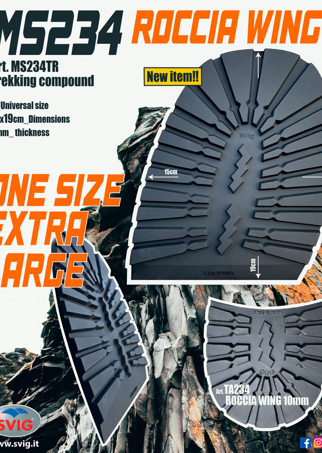 MS234 ADV definitivo